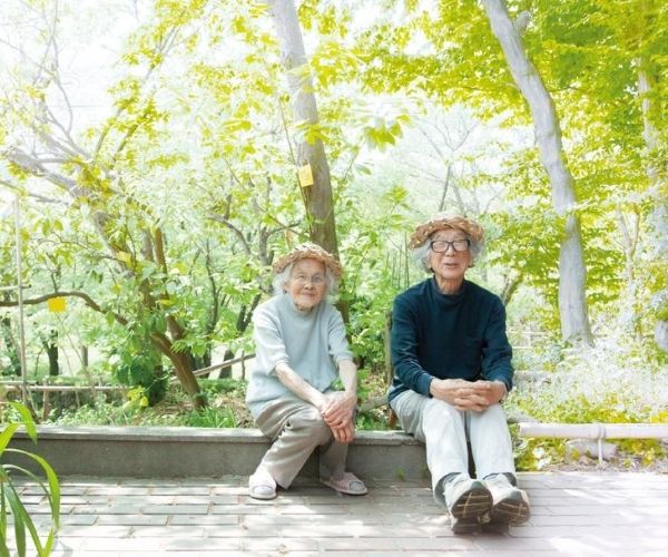 人生果实百度云资源