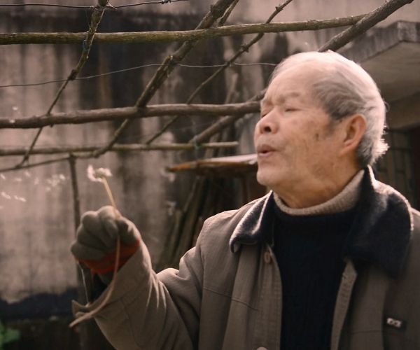 四个春天百度云资源