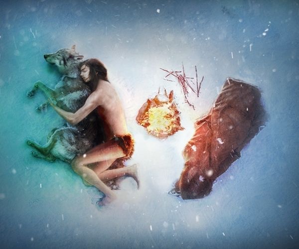 阿尔法:狼伴归途百度云资源