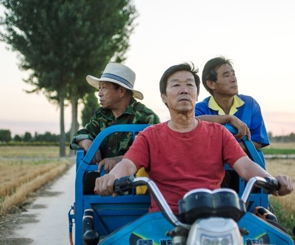 平原上的夏洛克百度云资源