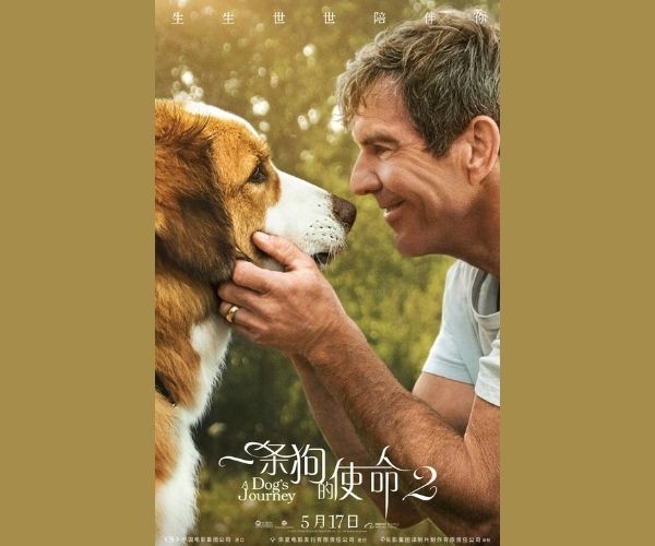 一条狗的使命2
